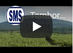 gula tambora